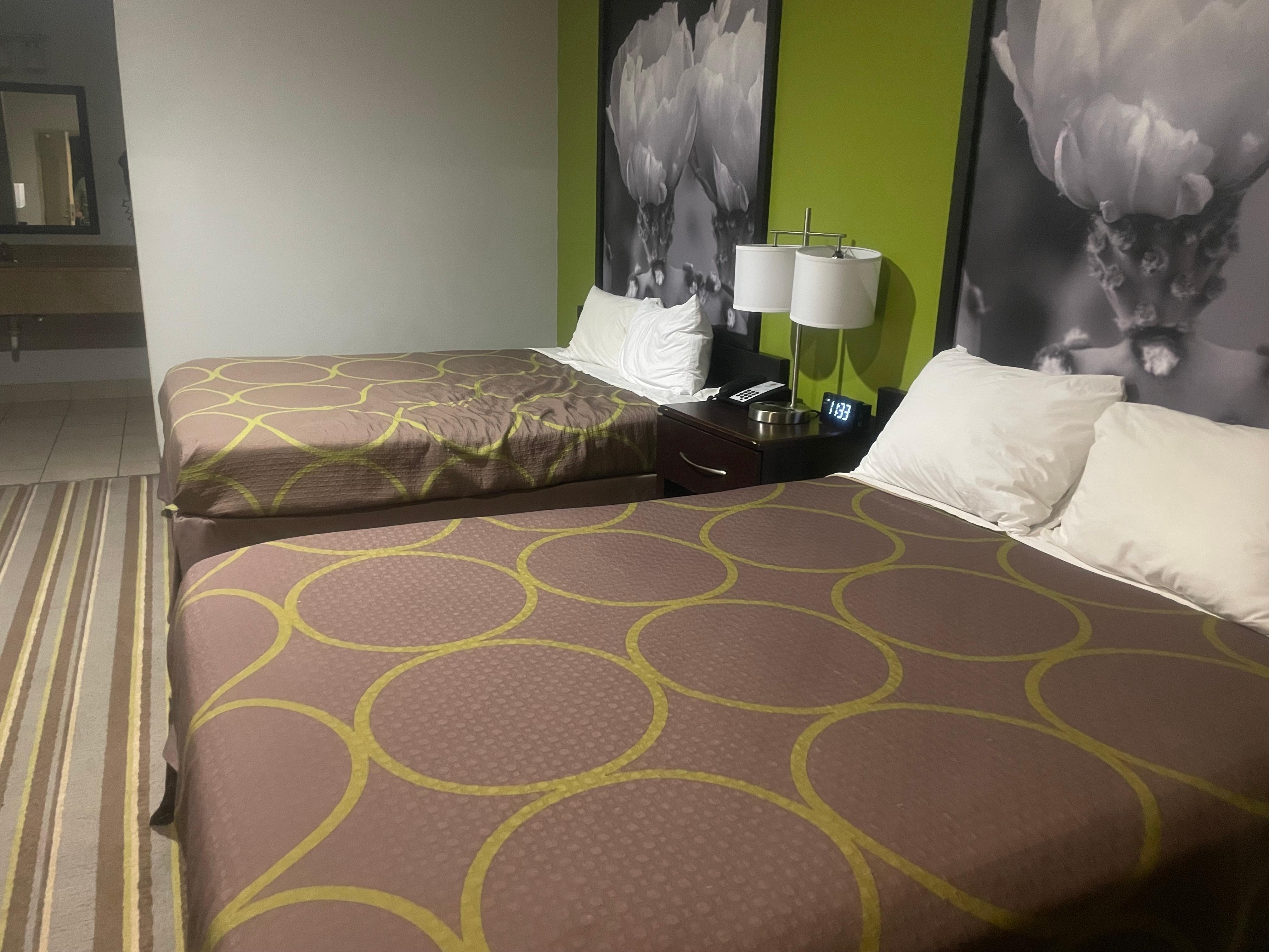 Beds are dirty and full of spiders
