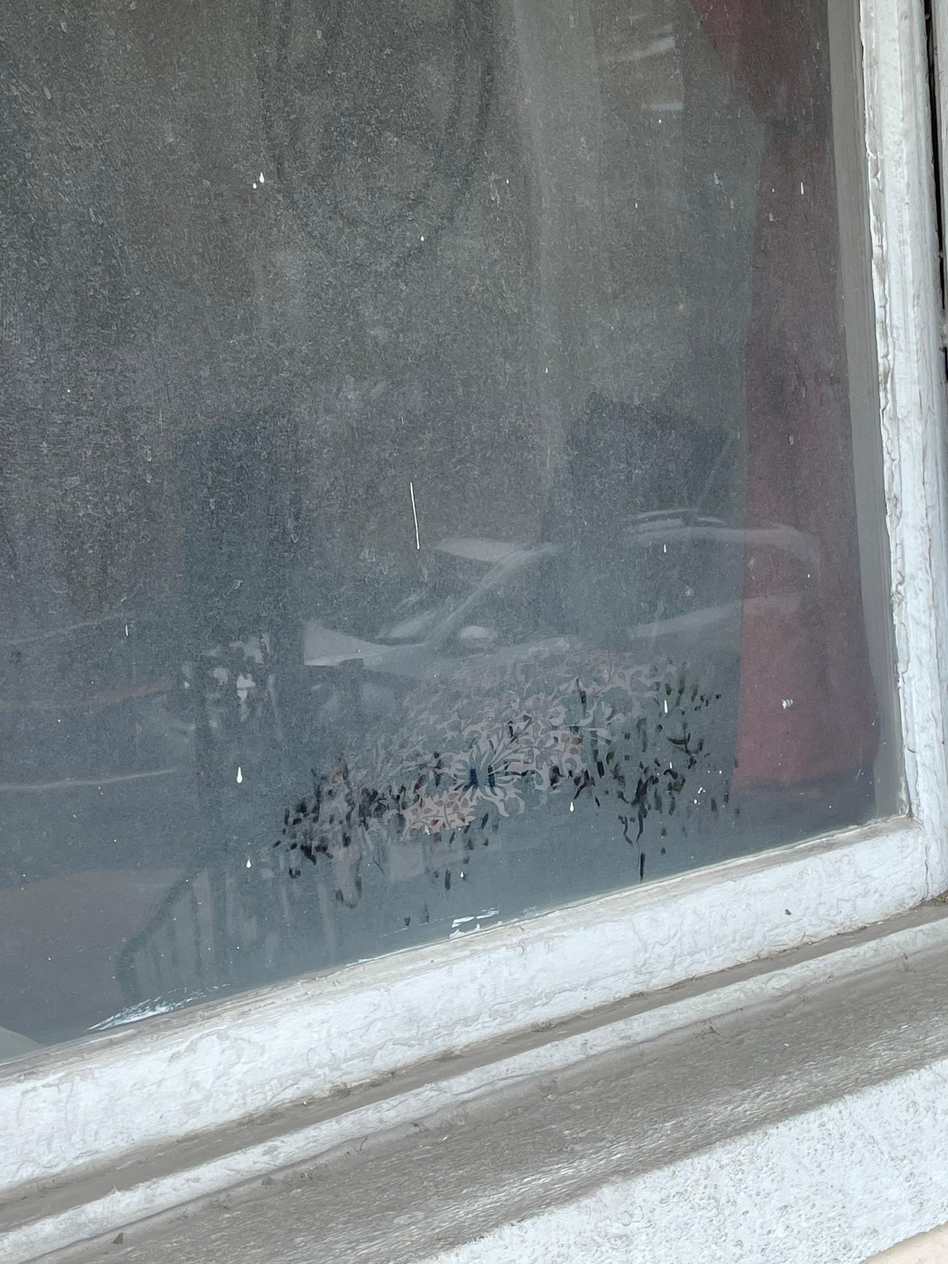 Looking( trying) out the front window!!