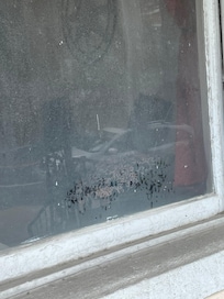 Looking( trying) out the front window!!