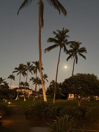 Sunset walk on the way to the beach