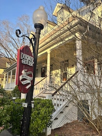 A sweet shot at an angle.