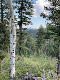 Red Rocks trail