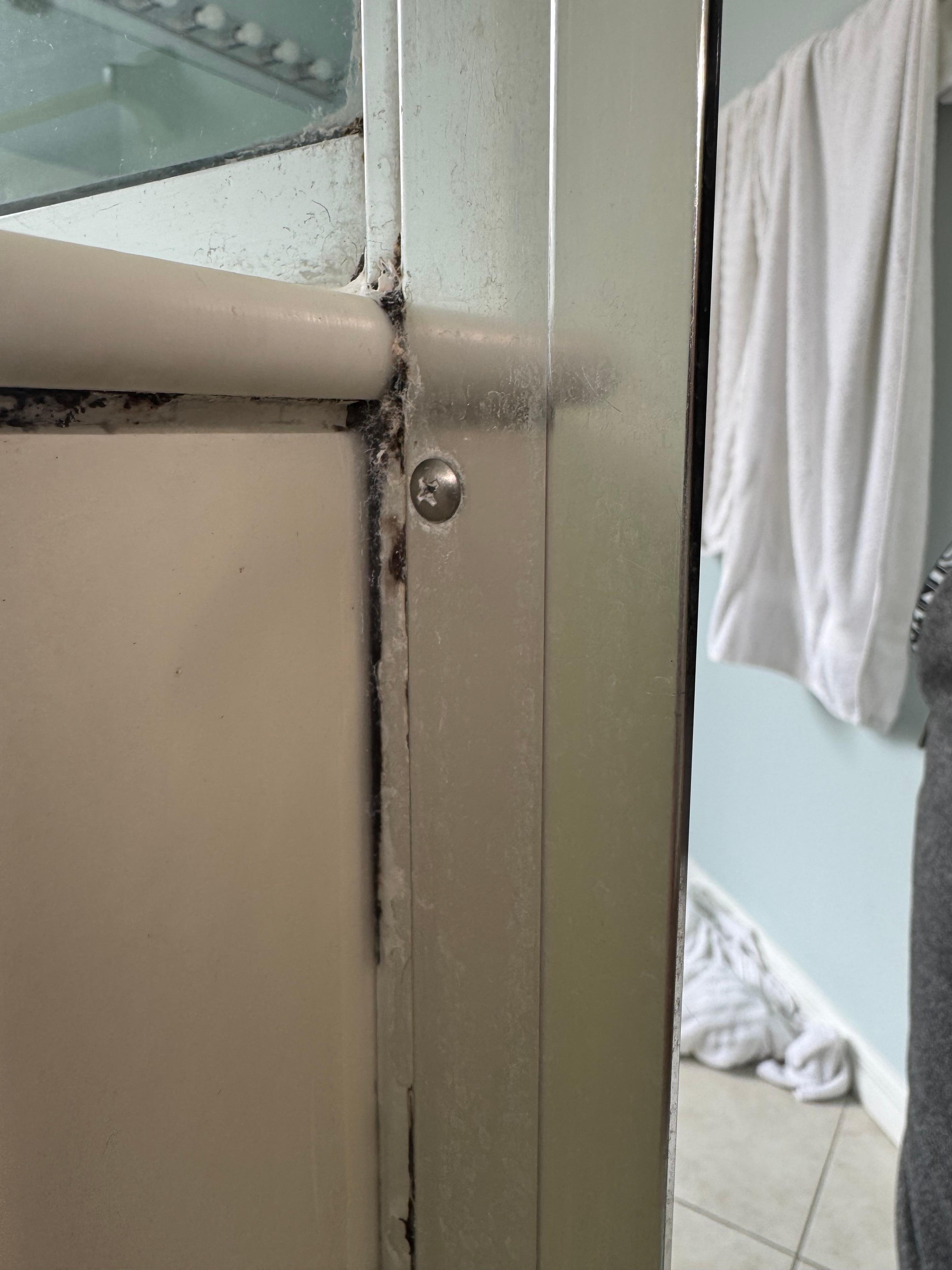 Mold in our “master” bathroom shower. I happen to be allergic to mold. So that was fun to deal with for 4 nights. Said they would come fix it “after” our stay. Why not now??! I don’t know!?