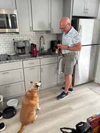 Our dog enjoyed the apartment, too!