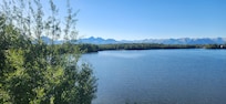 View from the room.