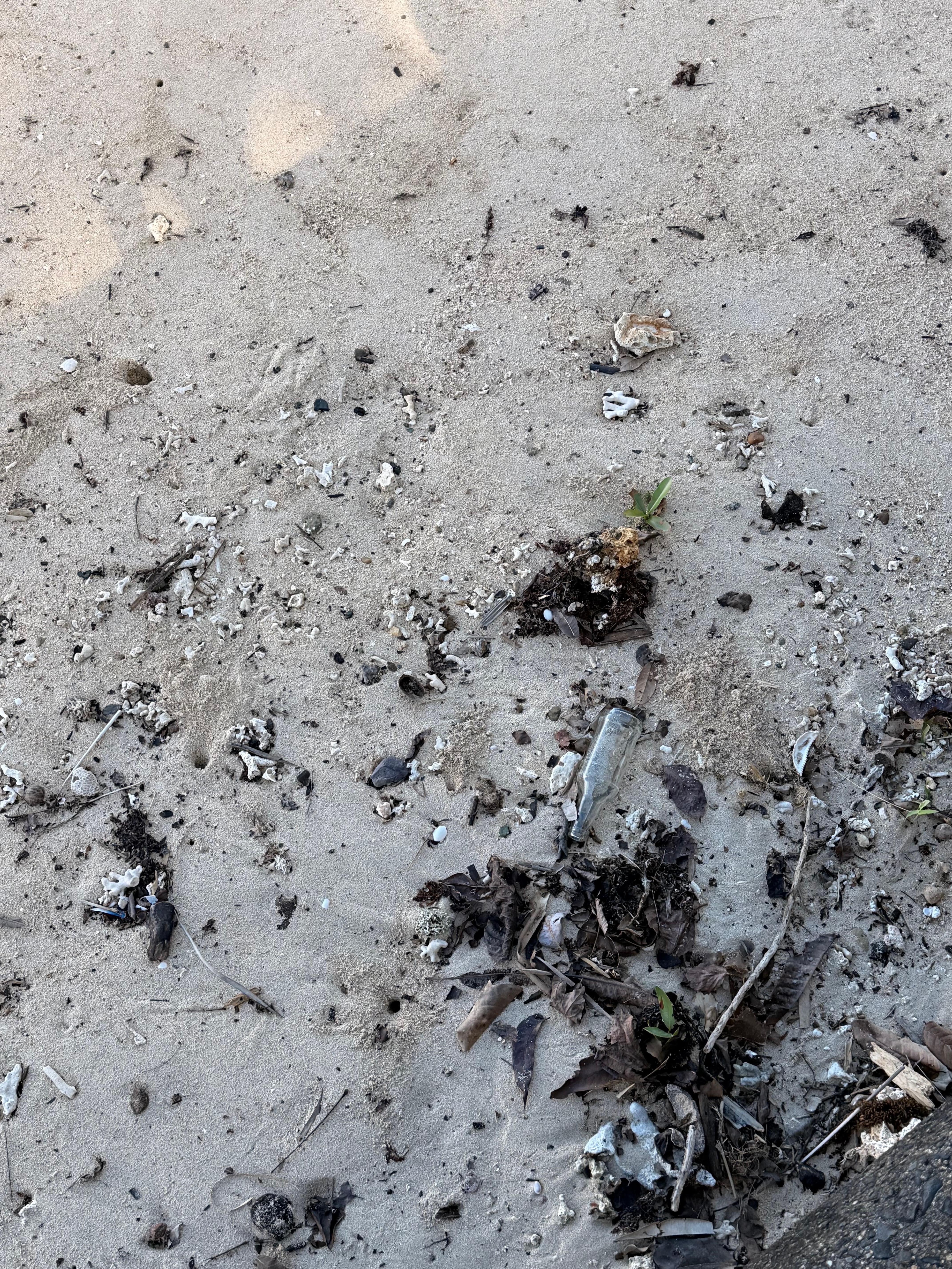 State of the beach is discussing. 