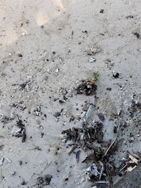 State of the beach is discussing.