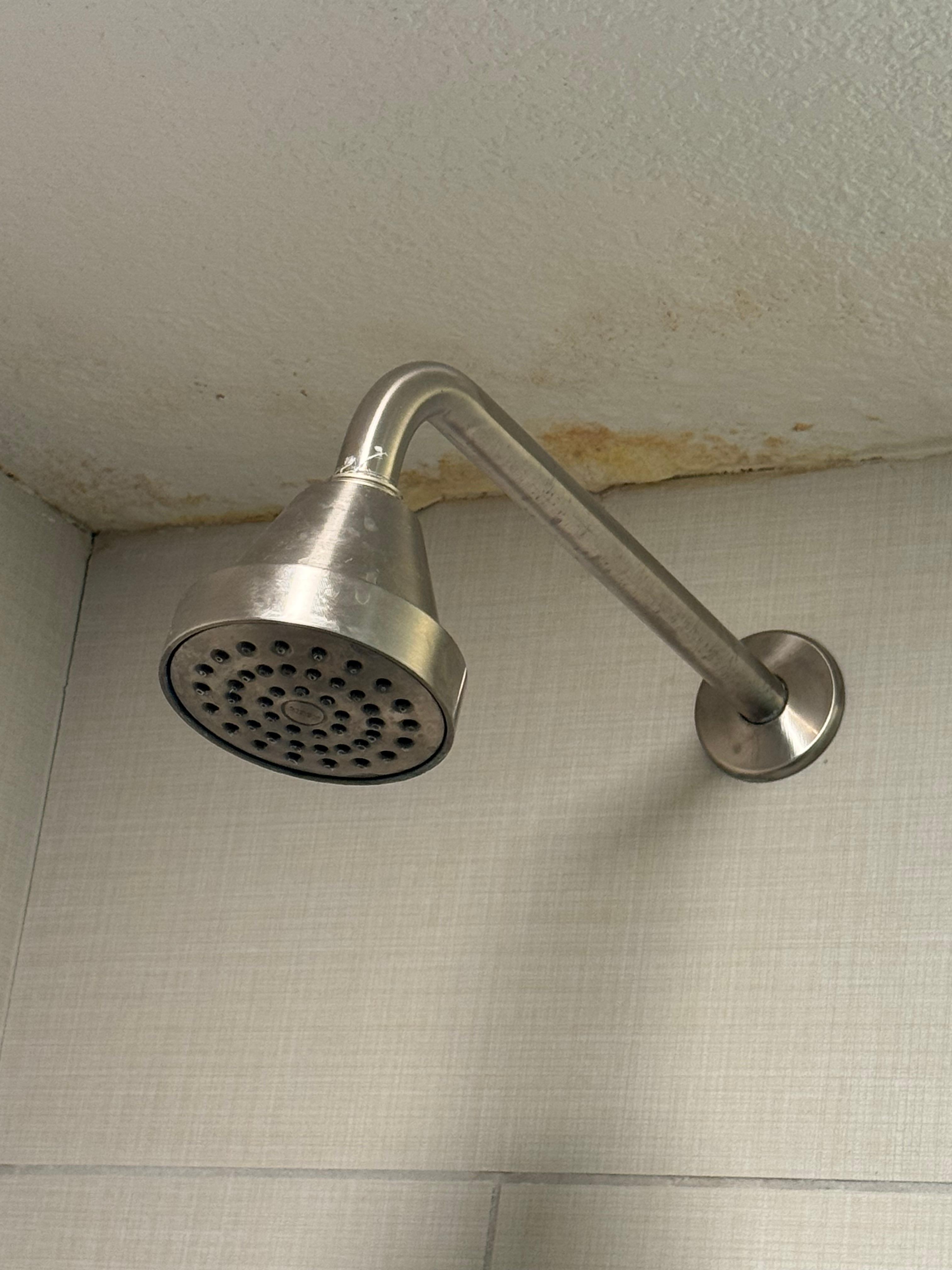 Mold in the ceiling and corners.