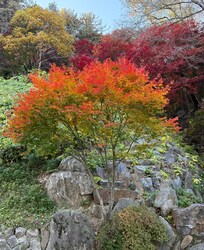 grounds at Douglas house