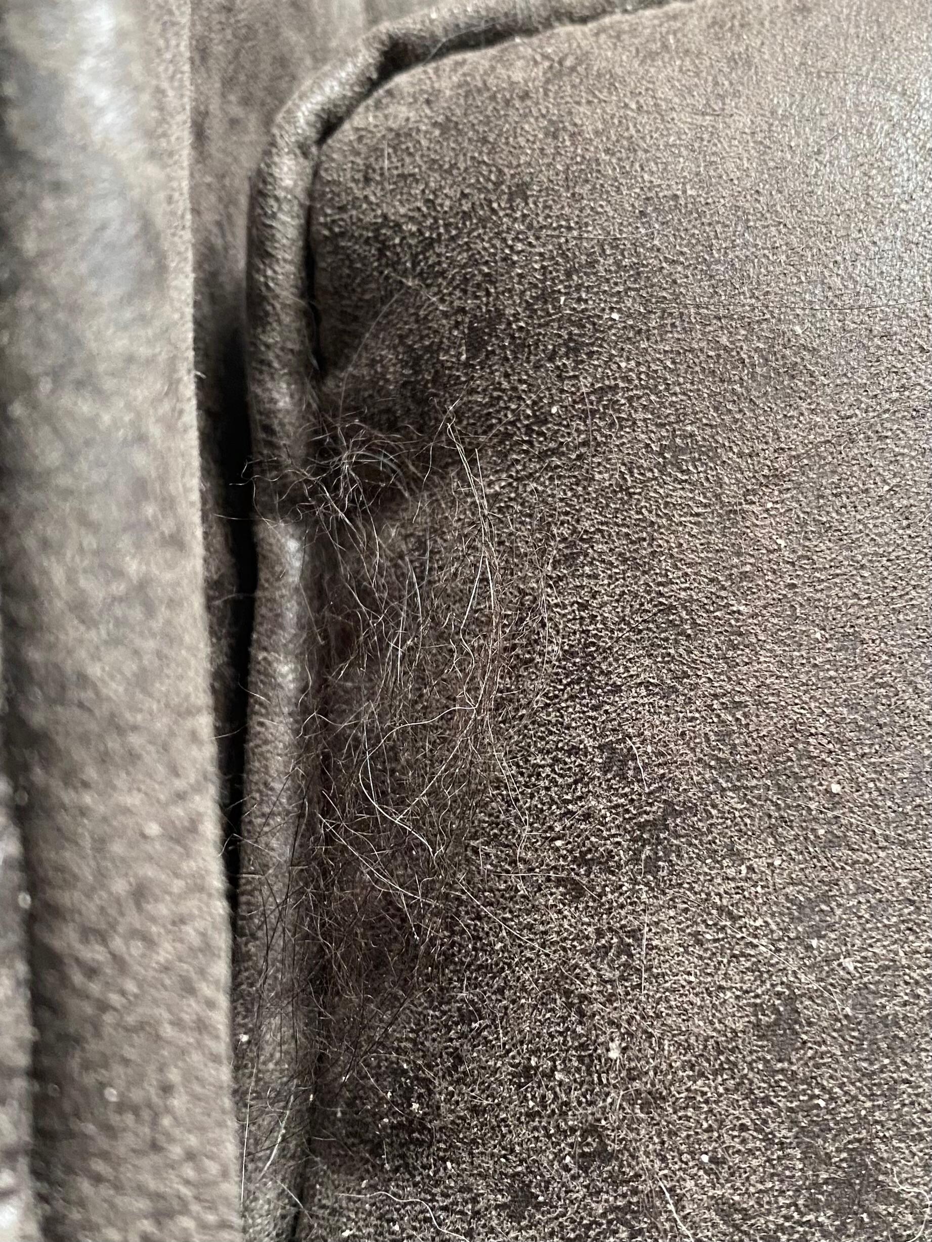 Close up of hair on couch
