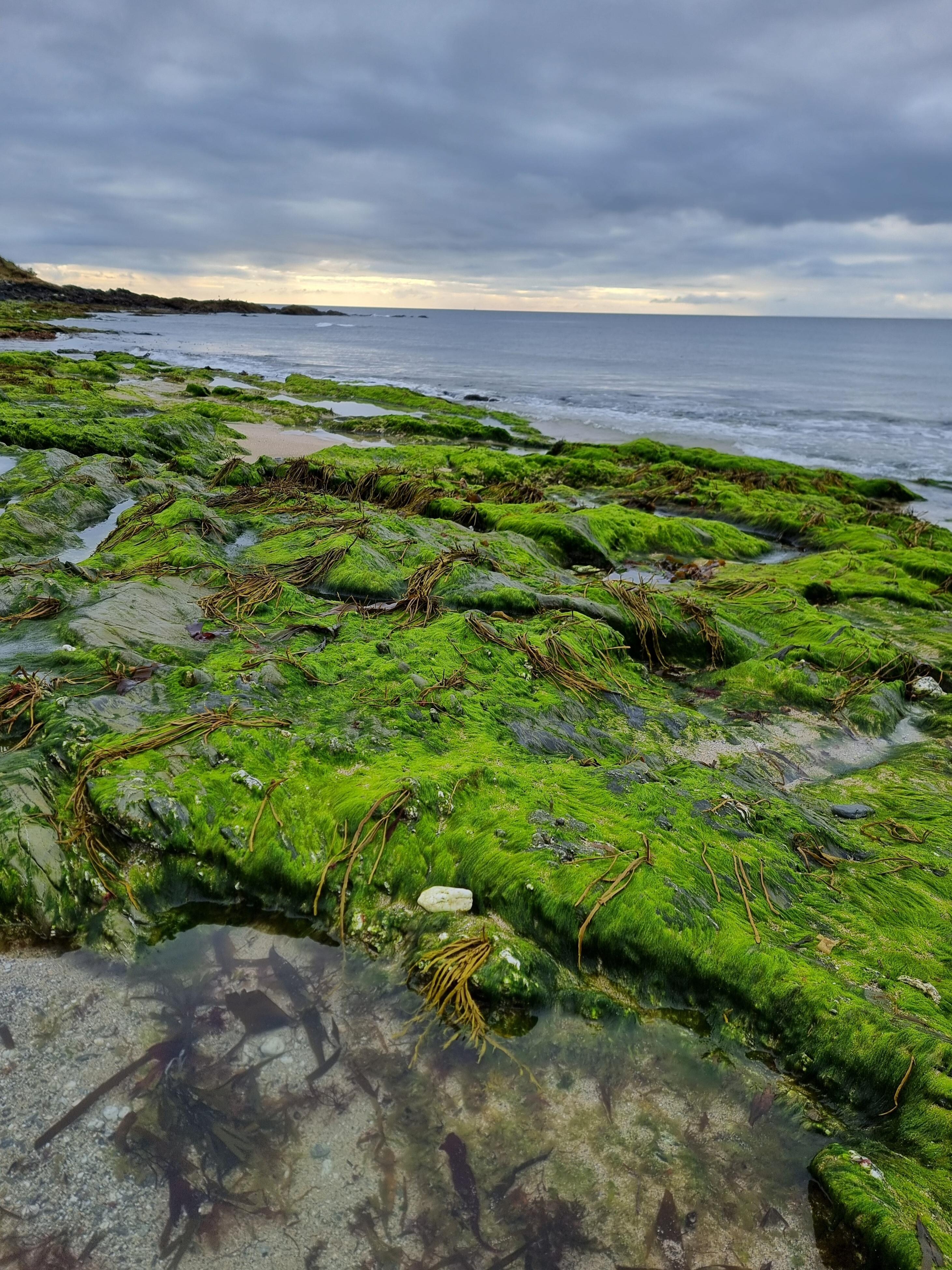 Early morning on Towan beach