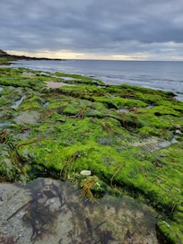 Early morning on Towan beach