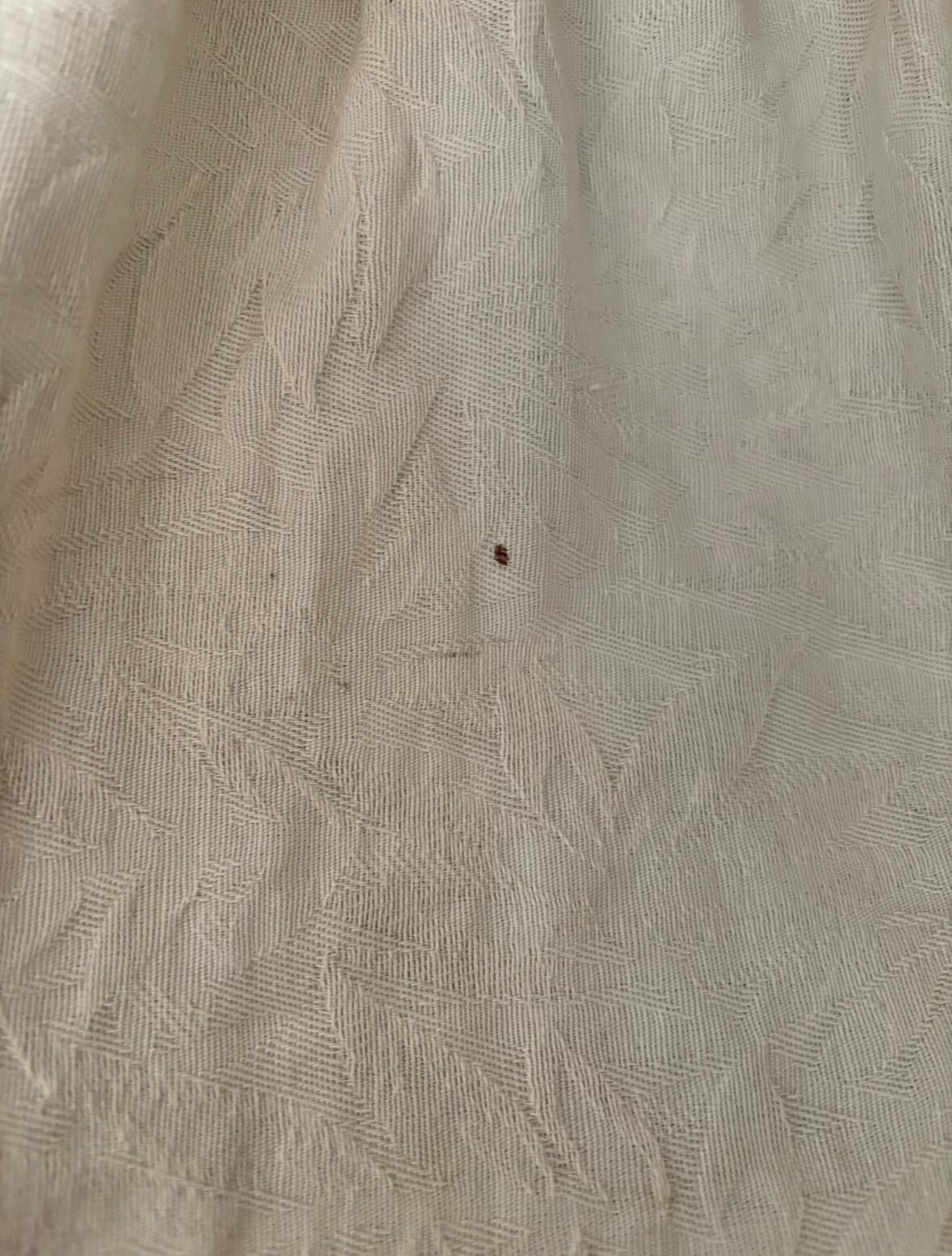 Bed bug stain 