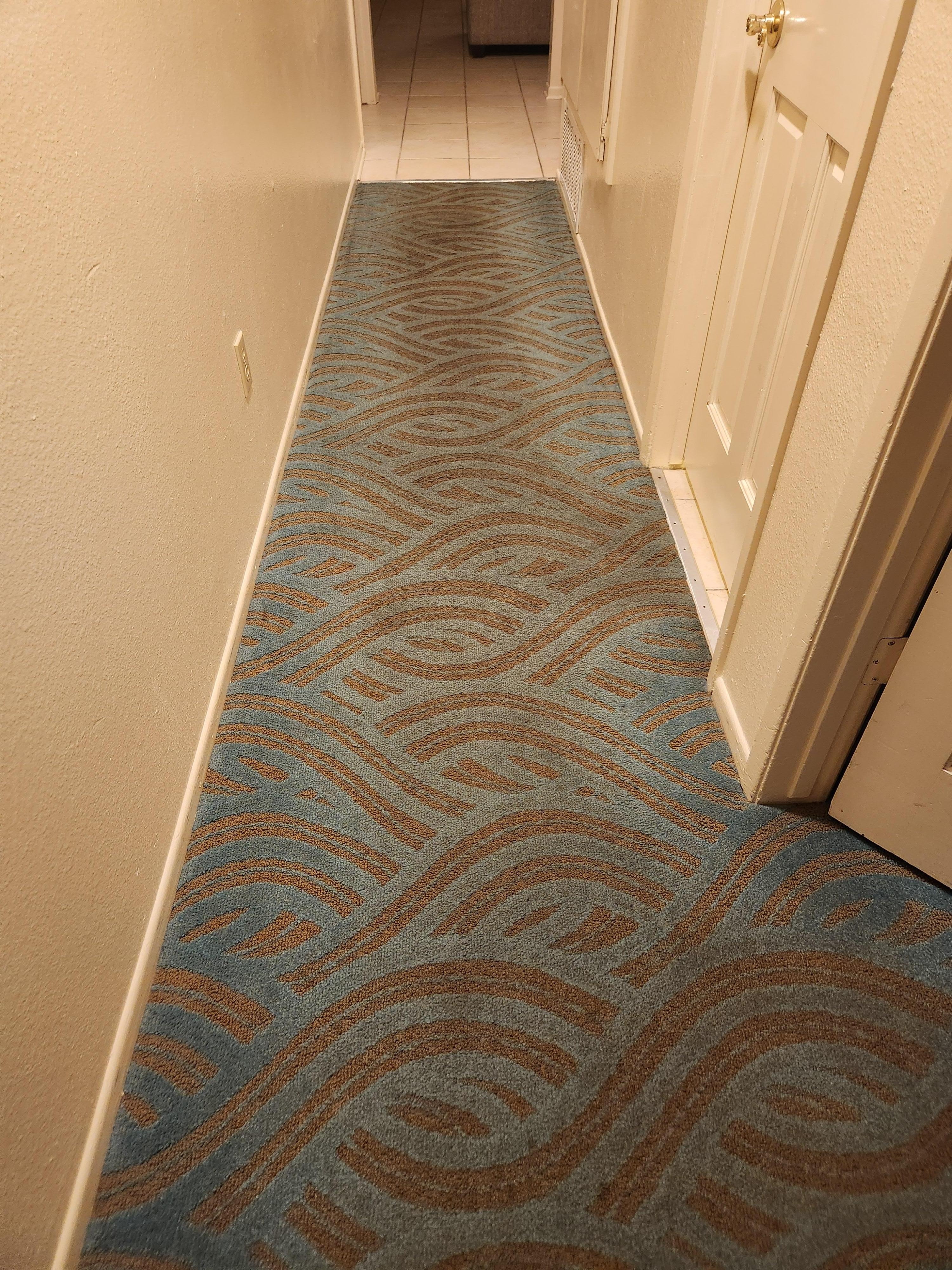 Gross carpet in hallway