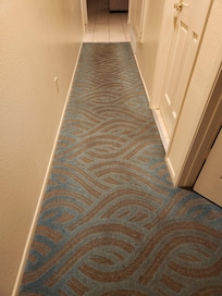 Gross carpet in hallway