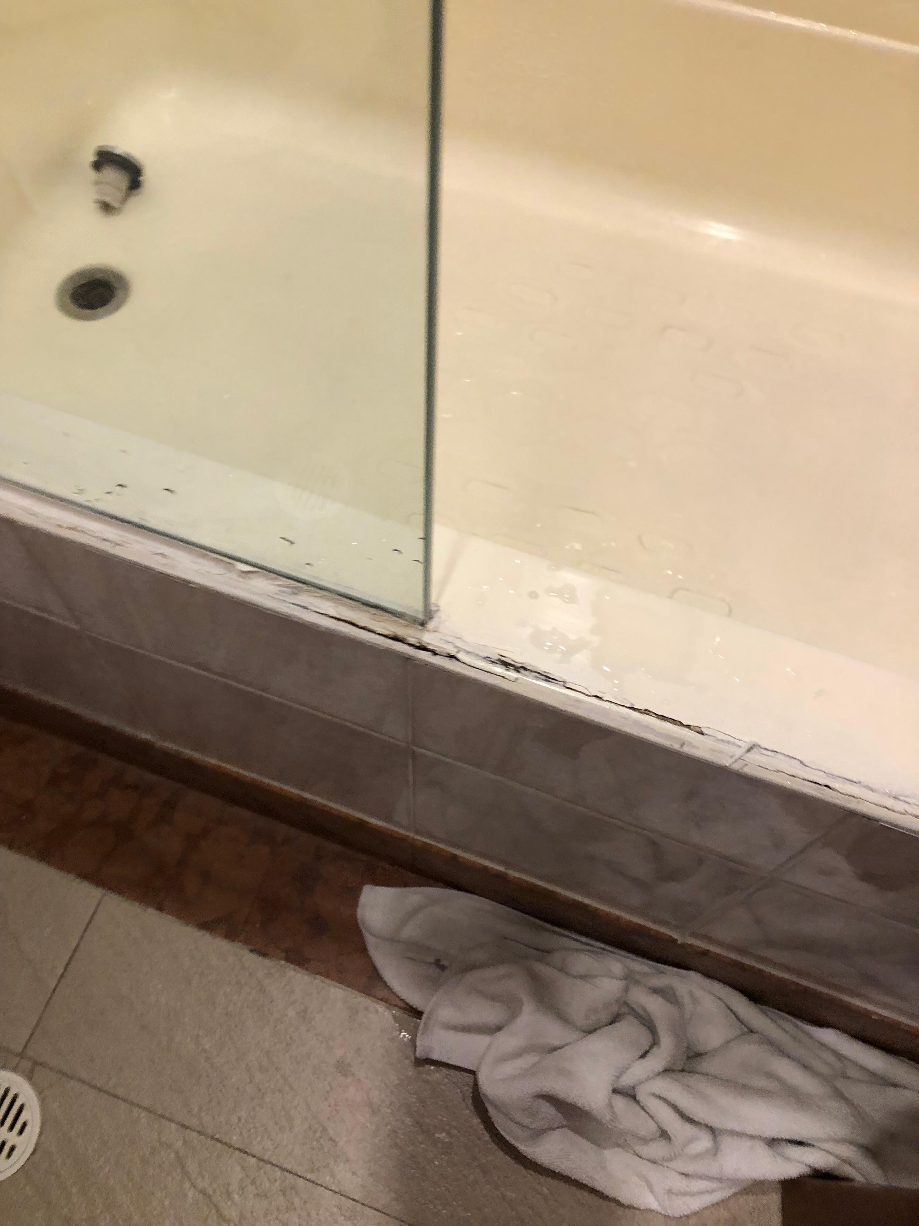 Water damage and a bit of what looked like mold. Not including what was on the other part of the tile wall as well. 