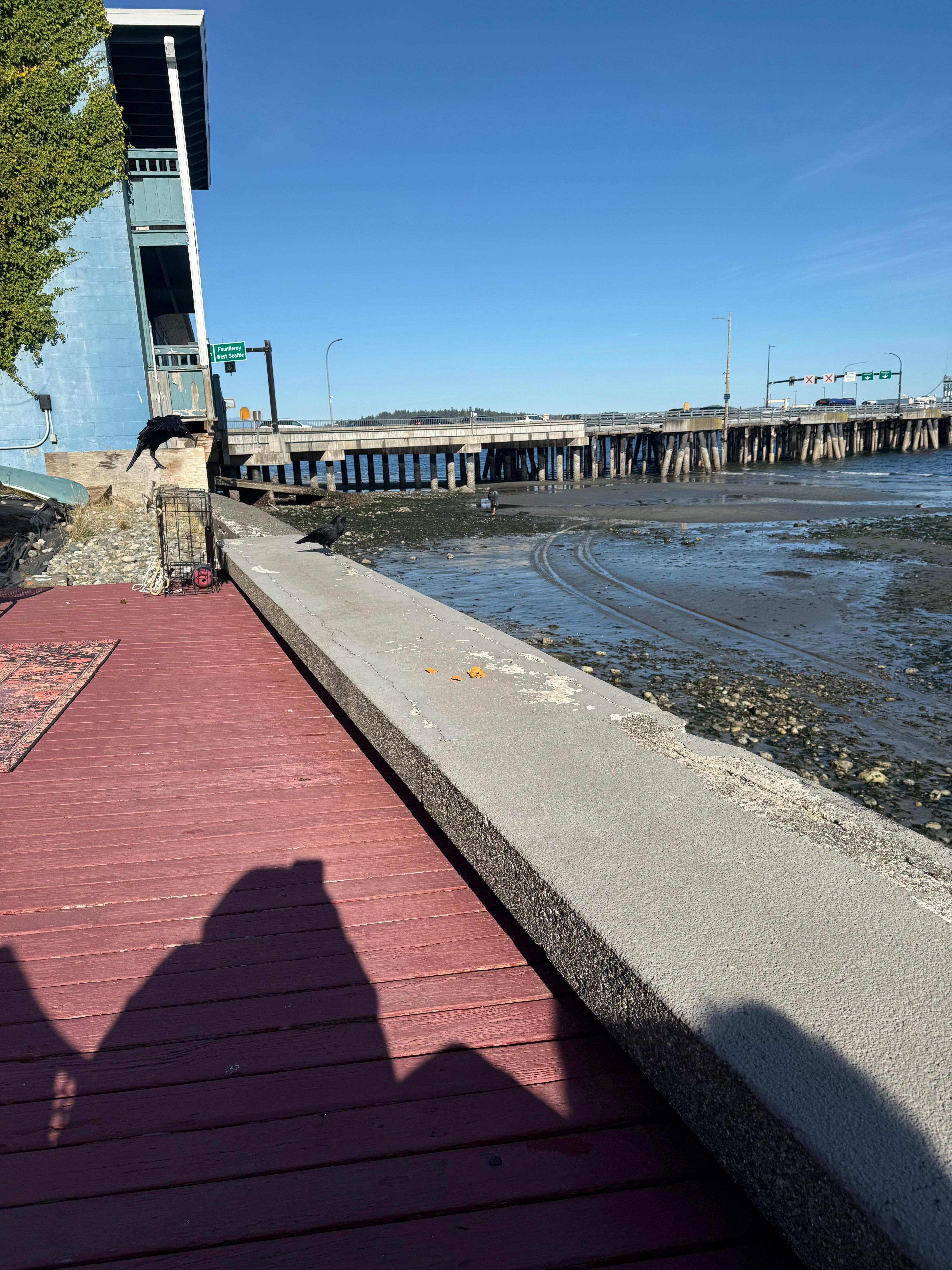 View of ferry doc from far end of back deck. 