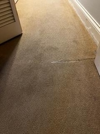 Carpet going into bedroom.