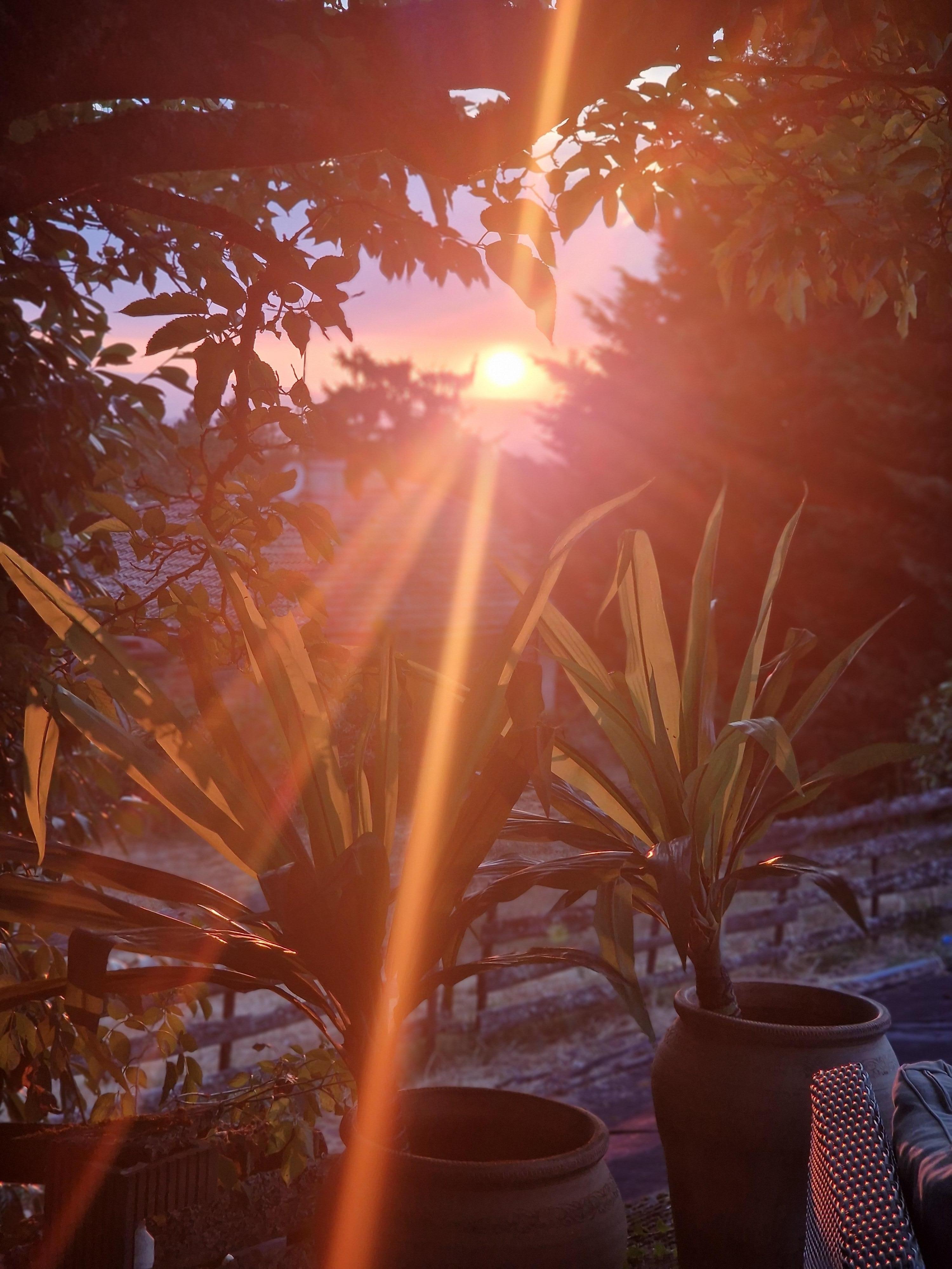 De avondzon vanuit de plek bij het zwembad ♡