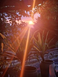 De avondzon vanuit de plek bij het zwembad ♡