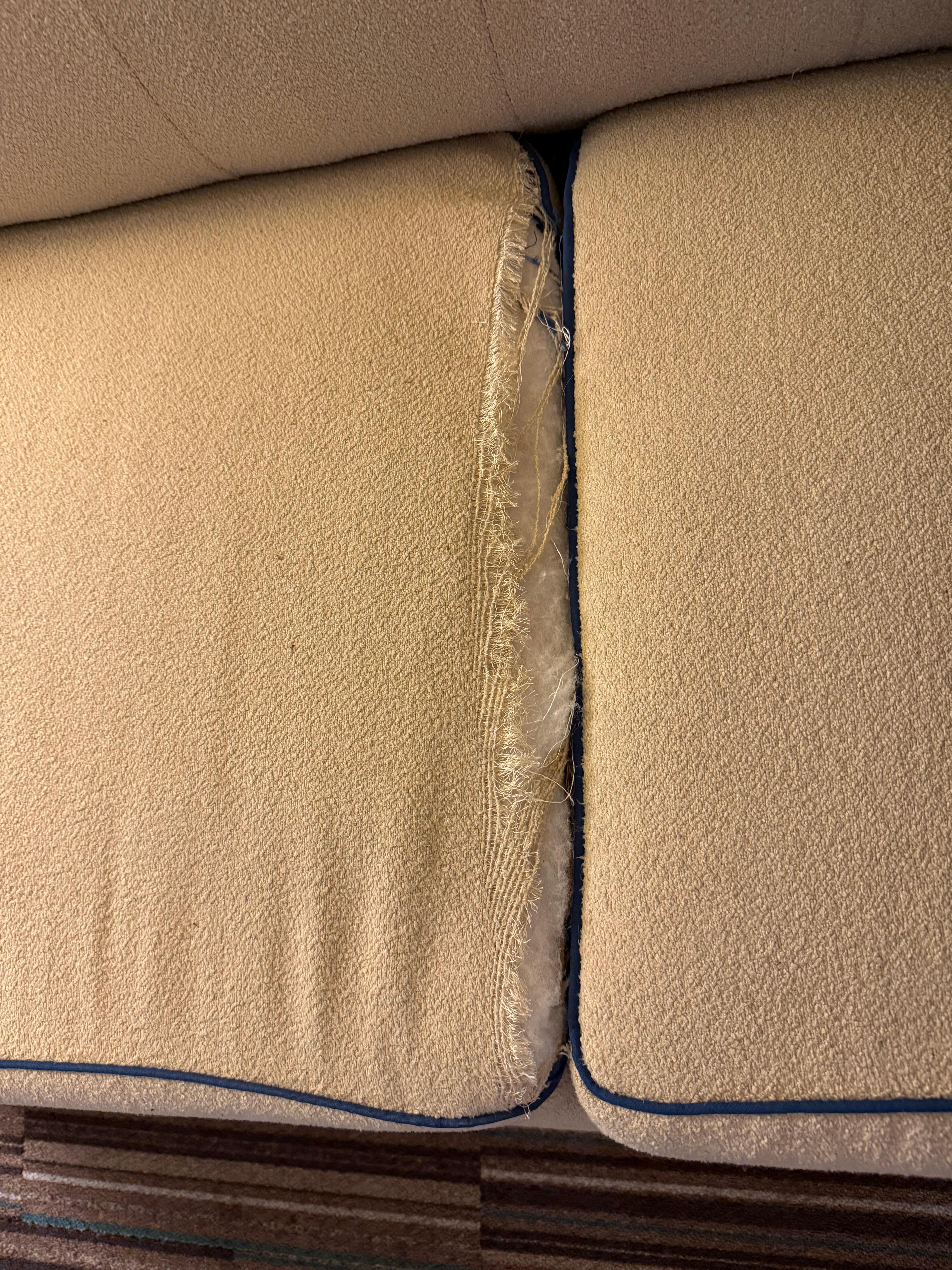 Cushions were torn. Also my families room as well.  