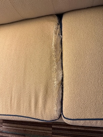 Cushions were torn. Also my families room as well.