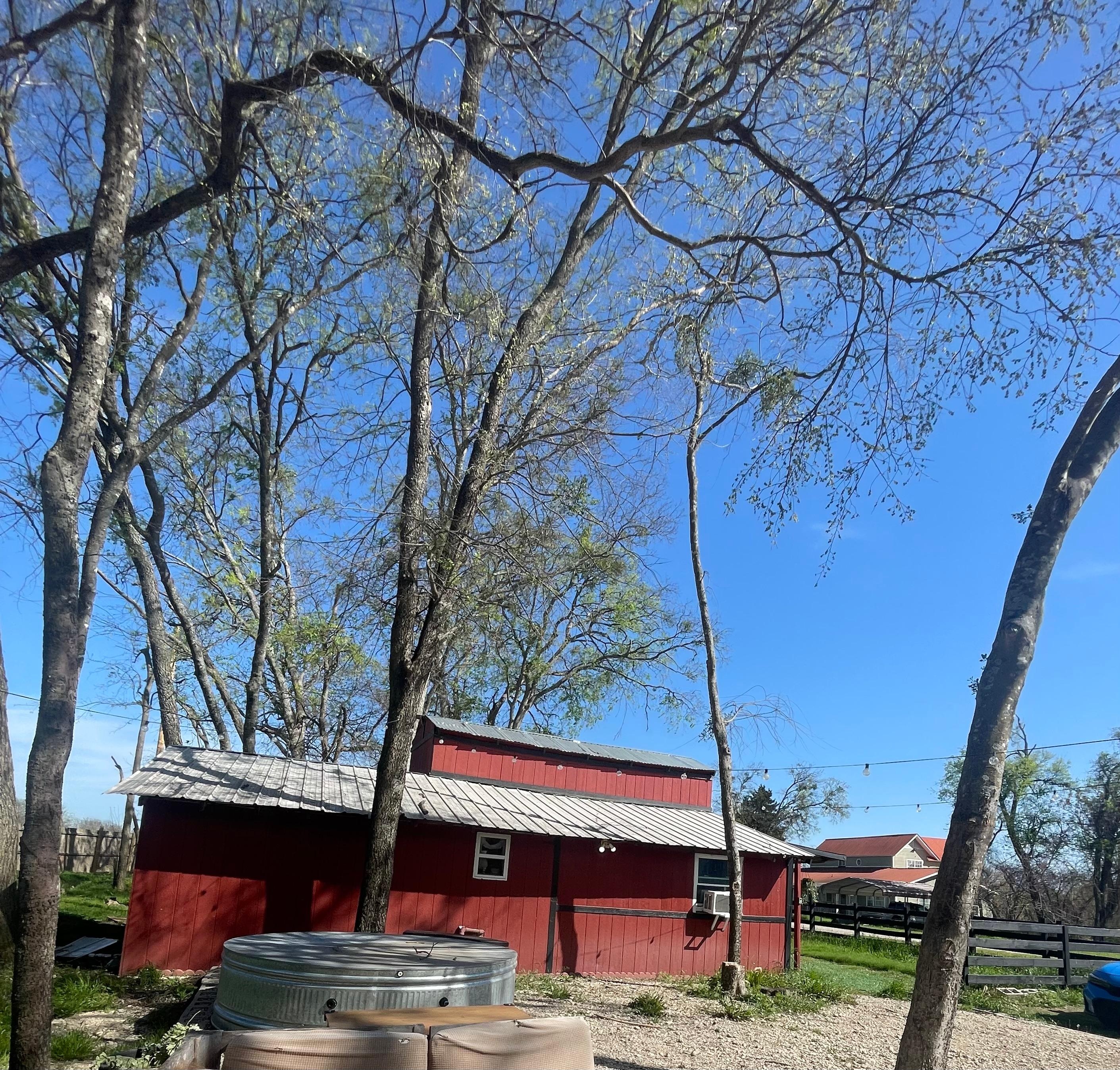 View of the micro barn from the outside seating and fire pit area. 