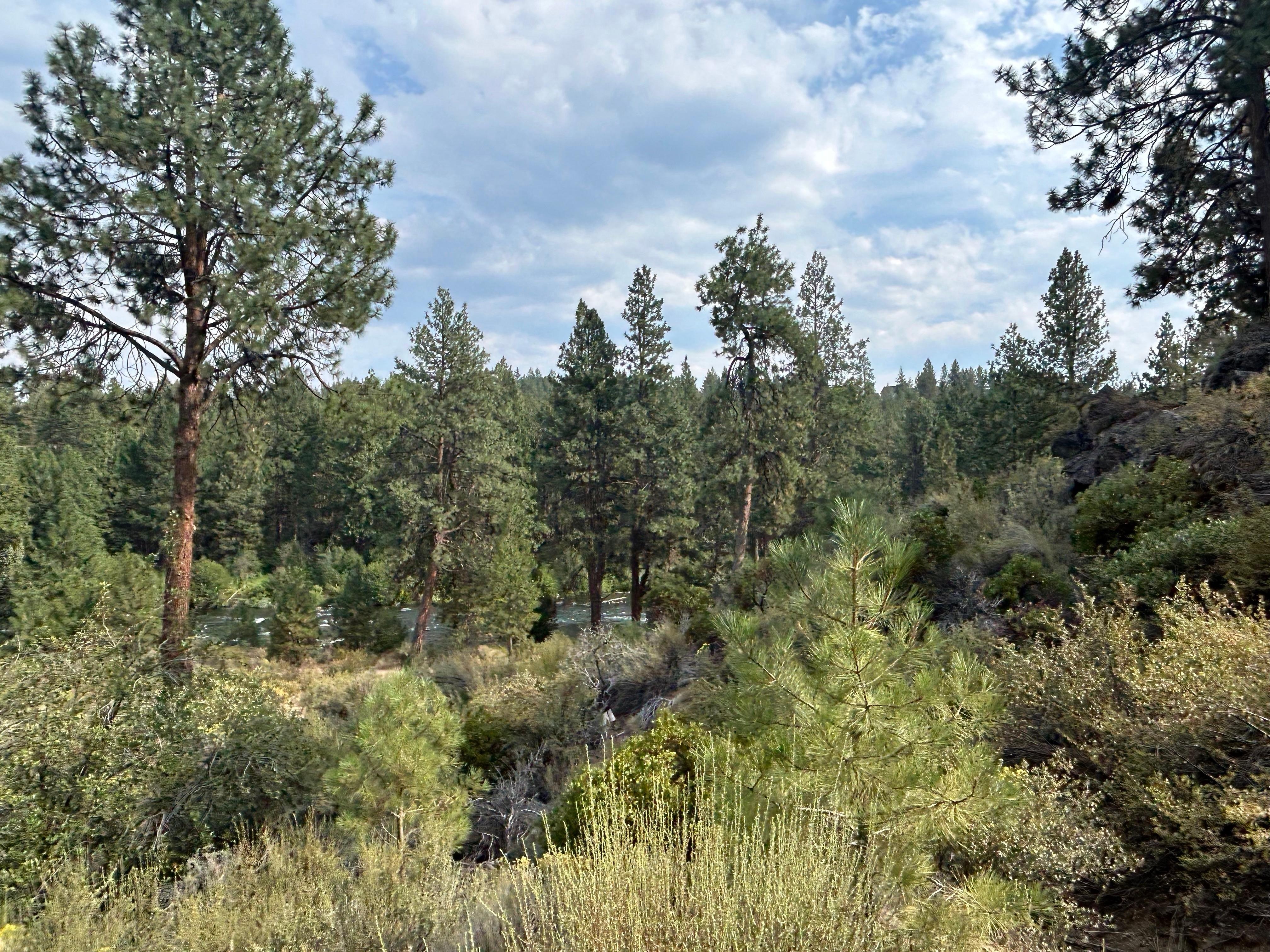 View from our deck — so peaceful to watch the sun rise over the mountains. There’s a walking path next to the river.
