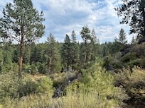 View from our deck — so peaceful to watch the sun rise over the mountains. There’s a walking path next to the river.