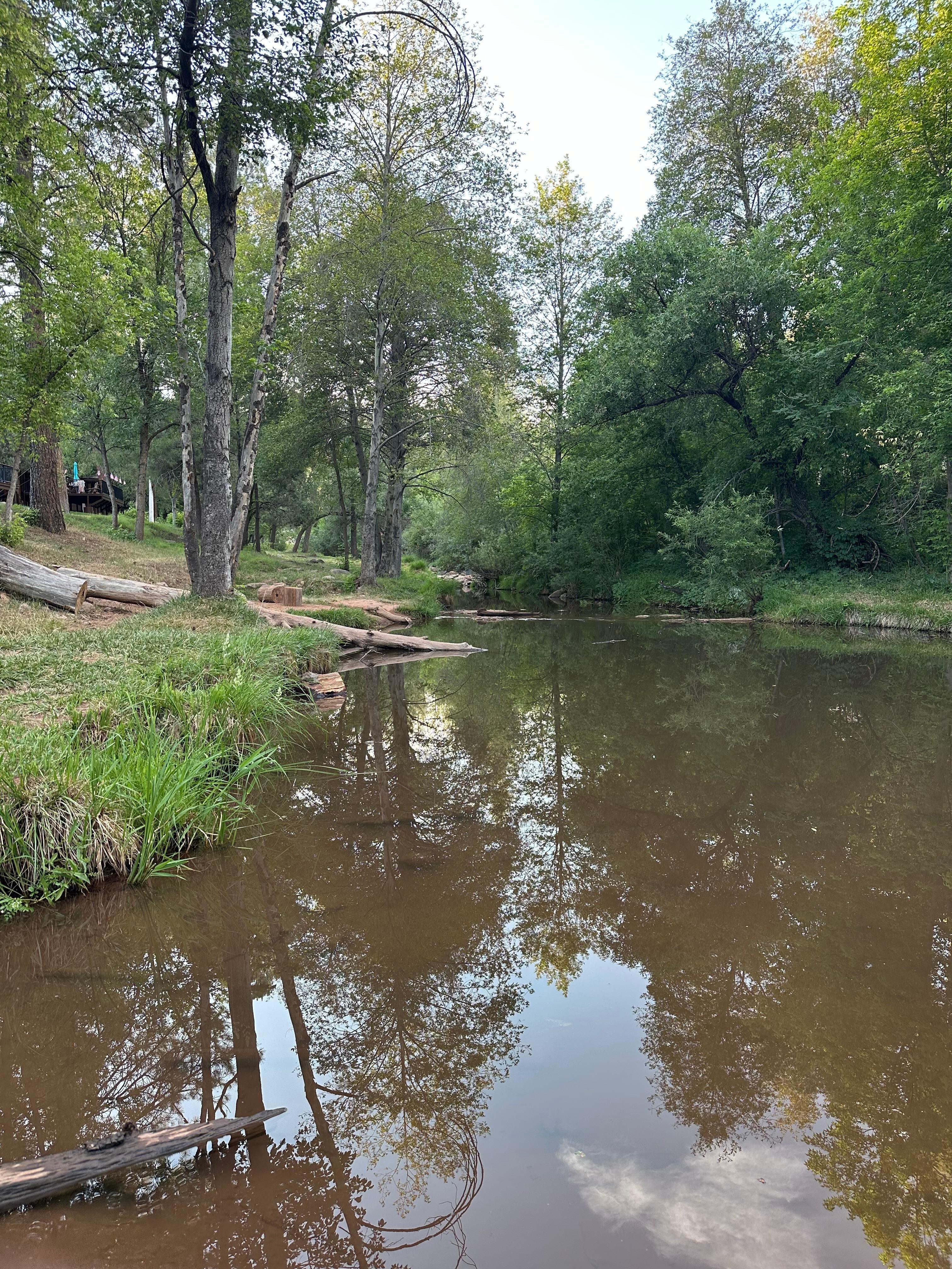 The creek 