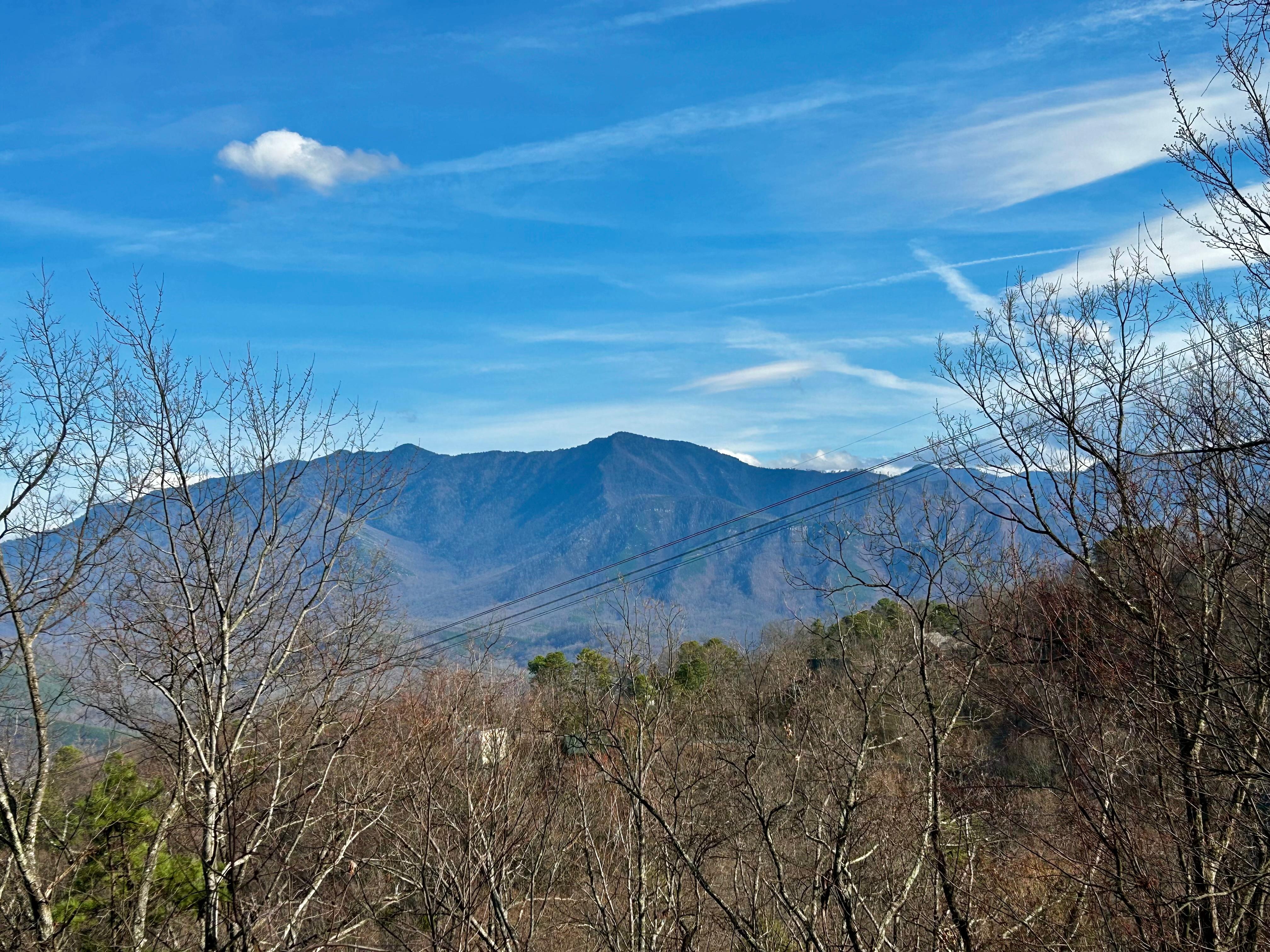 A view from the deck! 