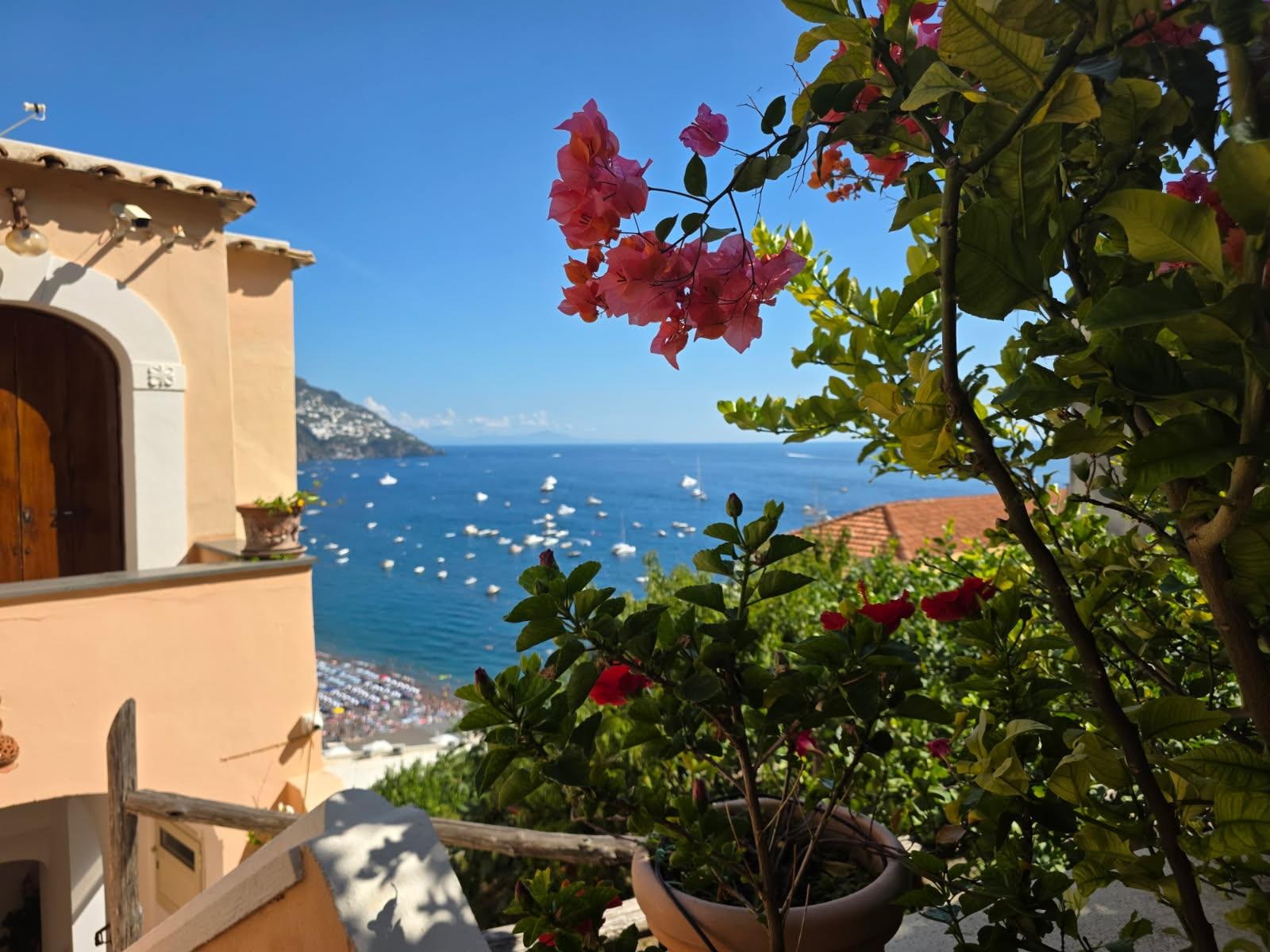 View from the entry terrace