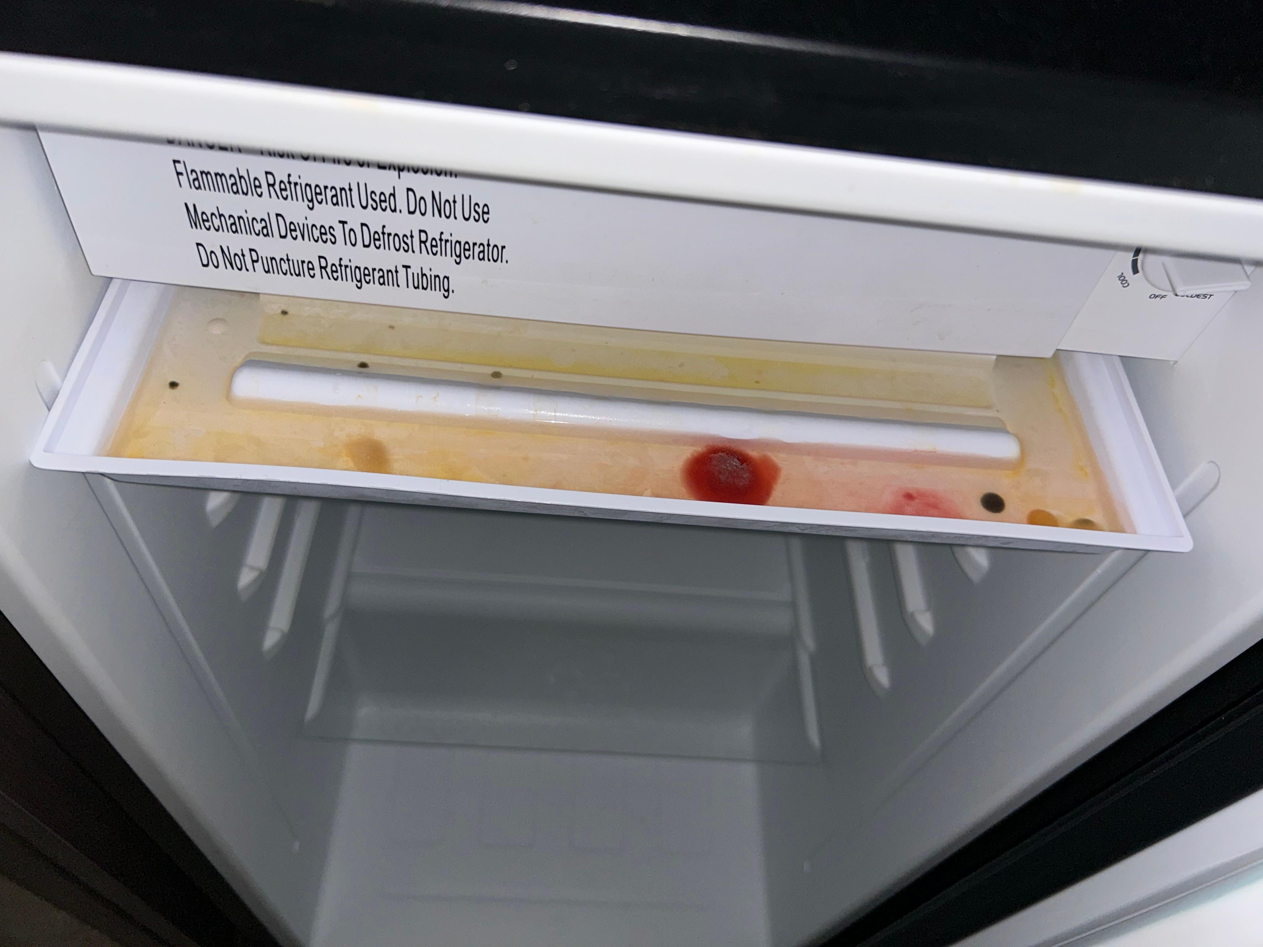 Mold in the mini fridge!!!