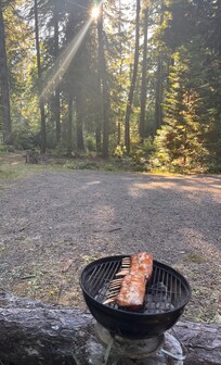 Sun through the woods at dinner time.