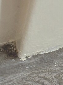 Hard to see but we killed a roach in the corner