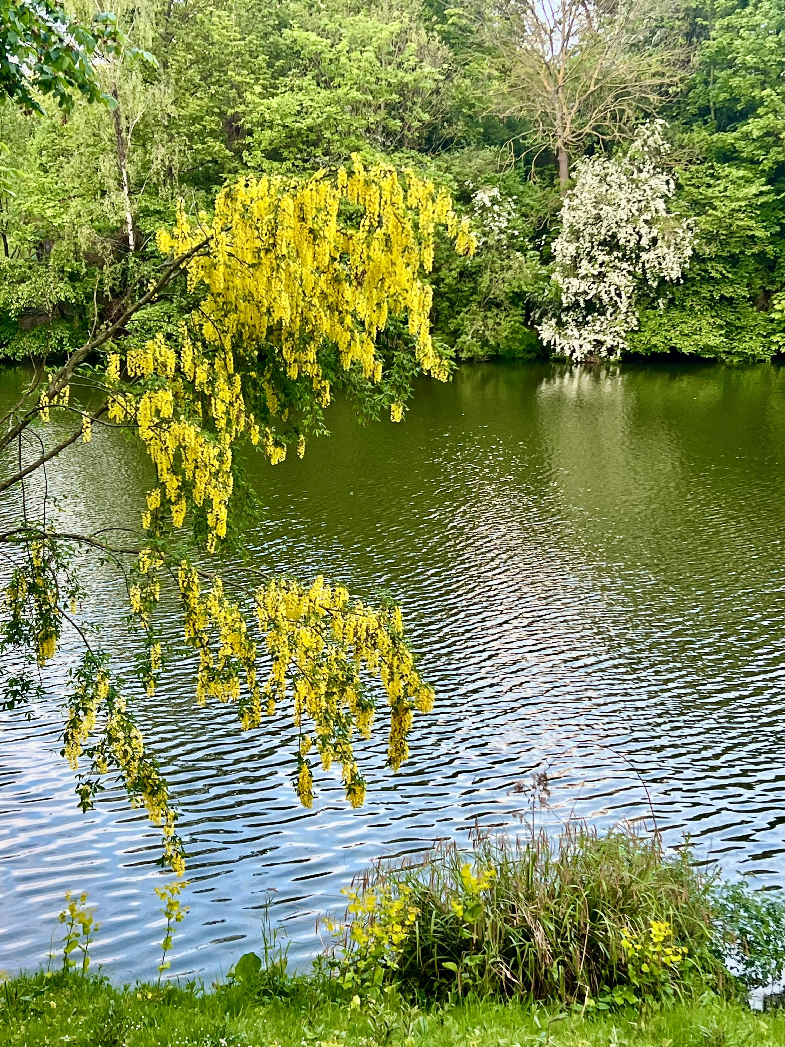 Orstedsparken 