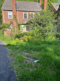 View of the backyard.