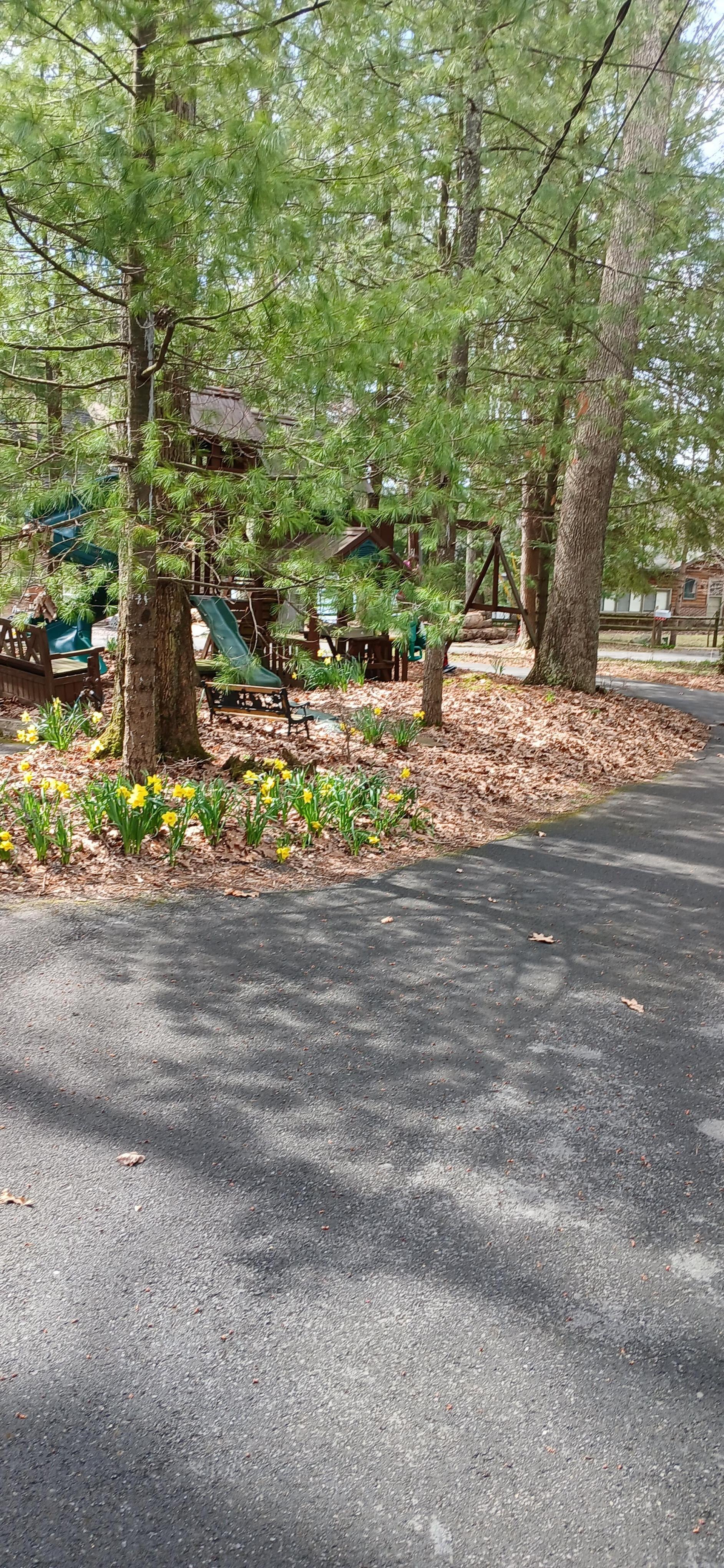 My kids enjoyed the playground area