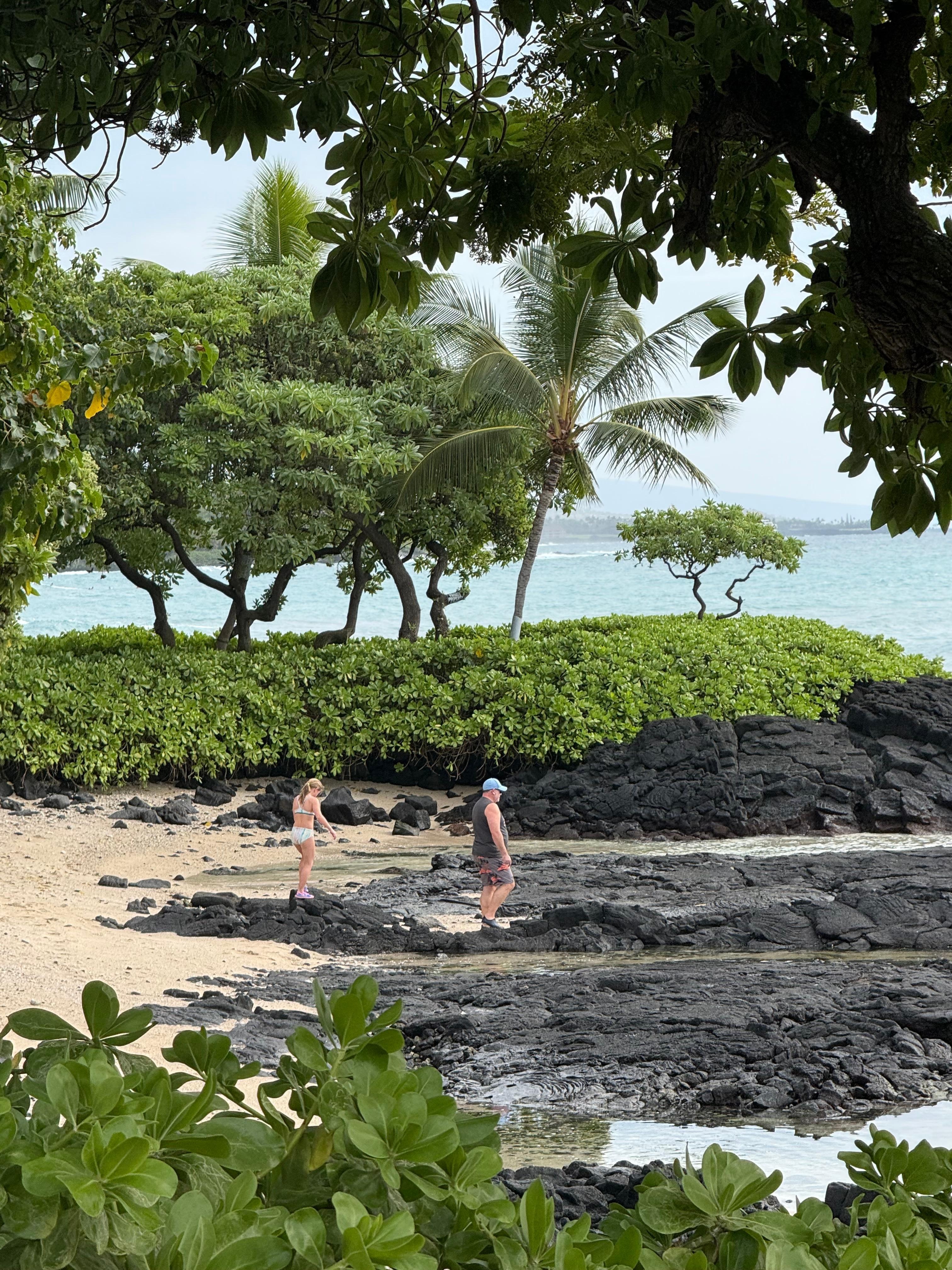 Exploring turtle beach just a quick 20 yd walk across the lava walks 