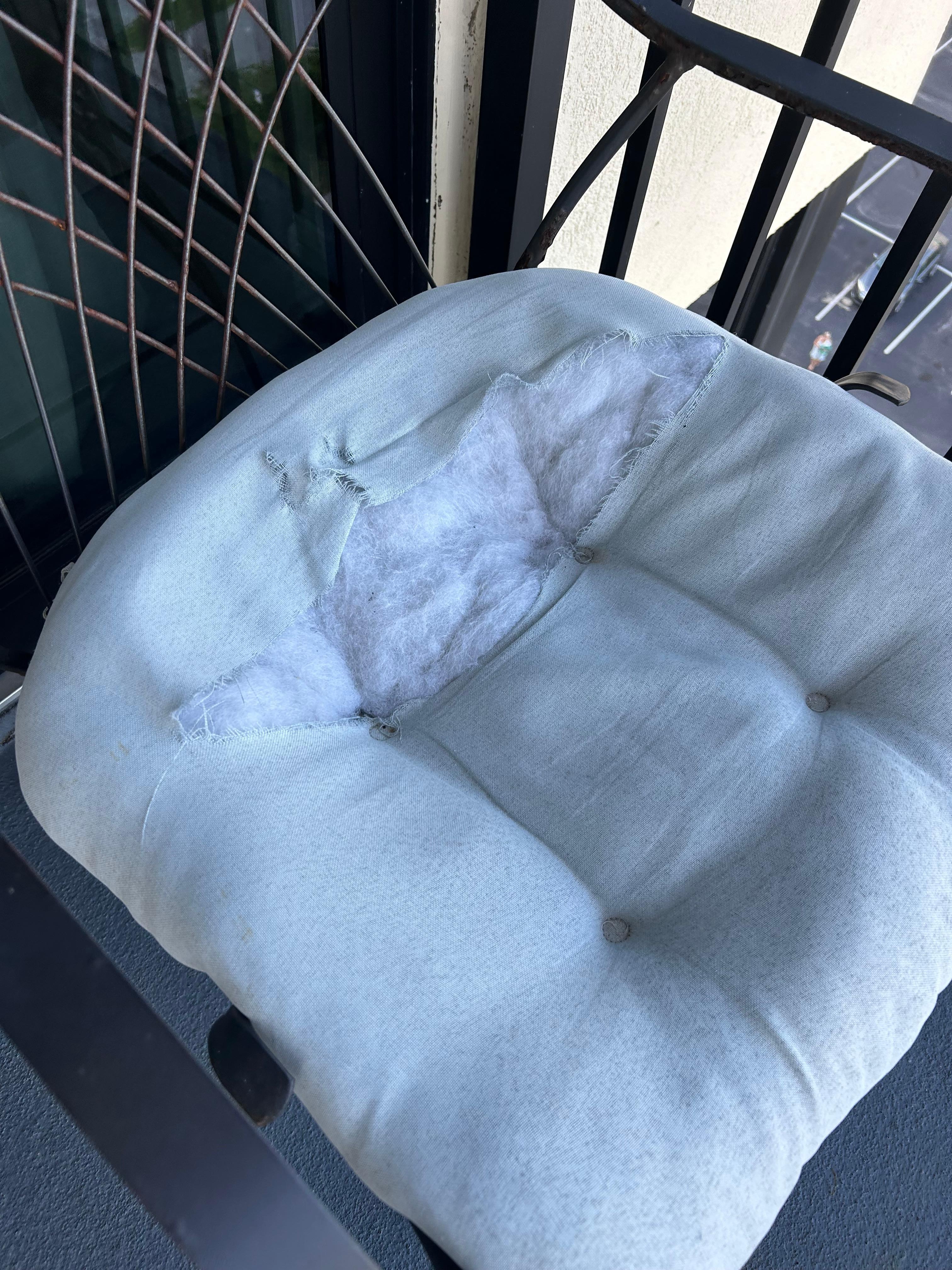 the ripped cushion (the other rusting chair doesn’t even have a cushion)