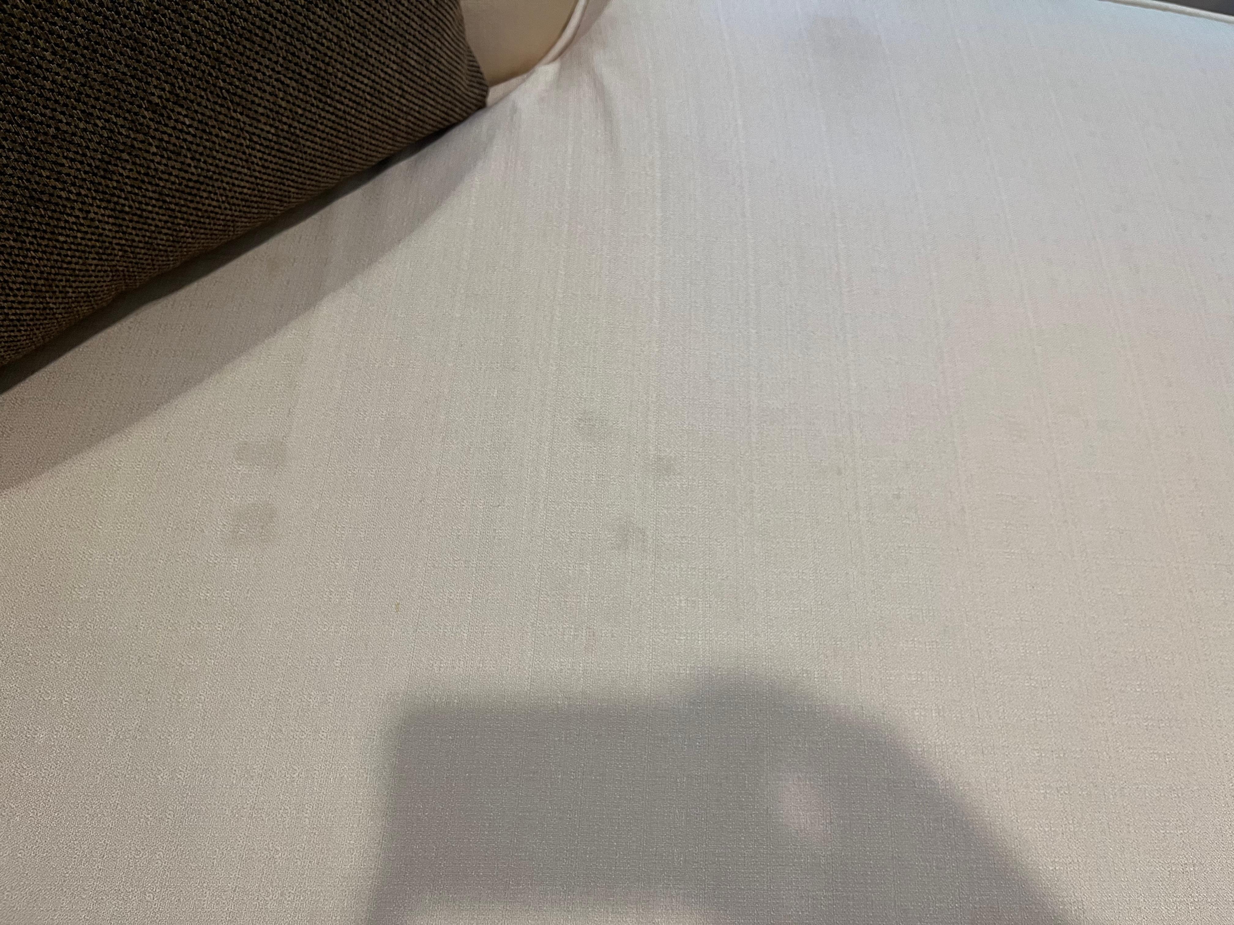 Sofa stains 