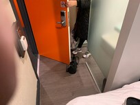 Picture of the floor space. Unable to get 2 people in the room