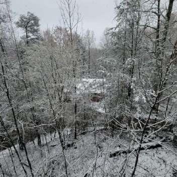 Our view on Day 4 after an inch of snow fell, so beautiful.