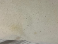 More stains