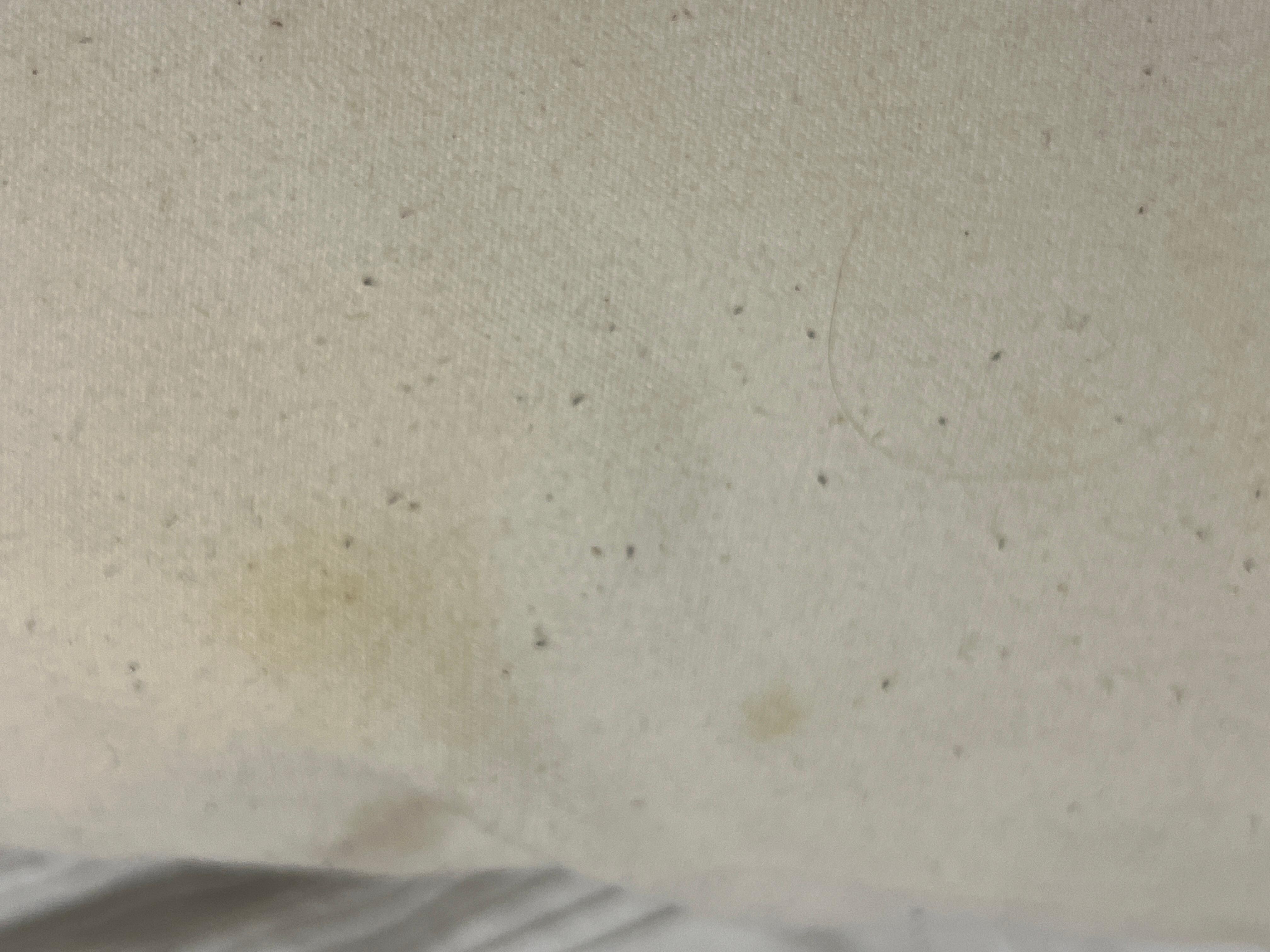 More stains