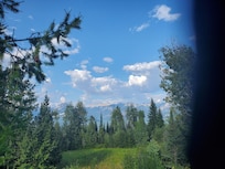 View from the deck