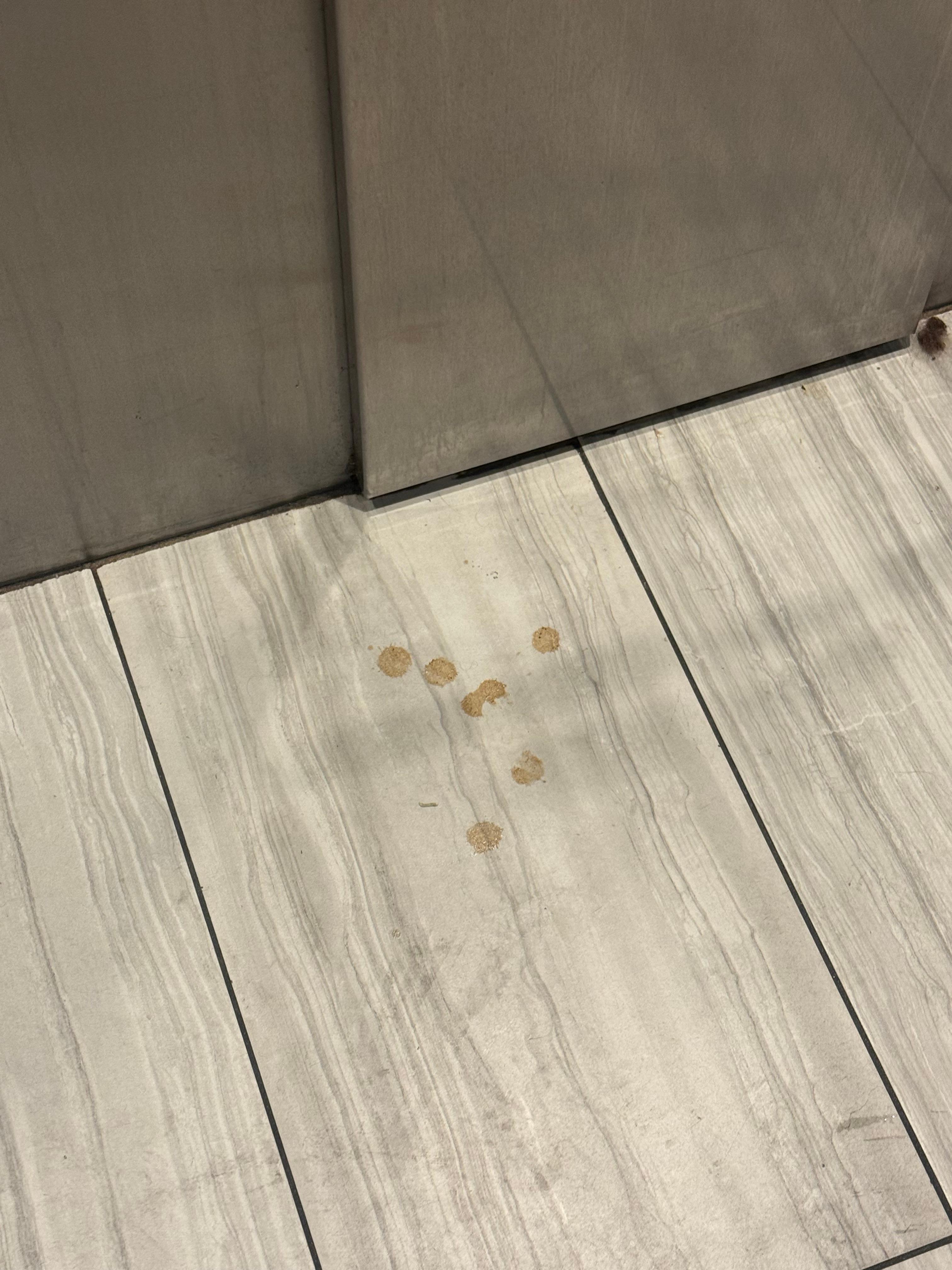 Spill in elevator there for 2 days 