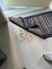 Filthy floor under the front door mat.