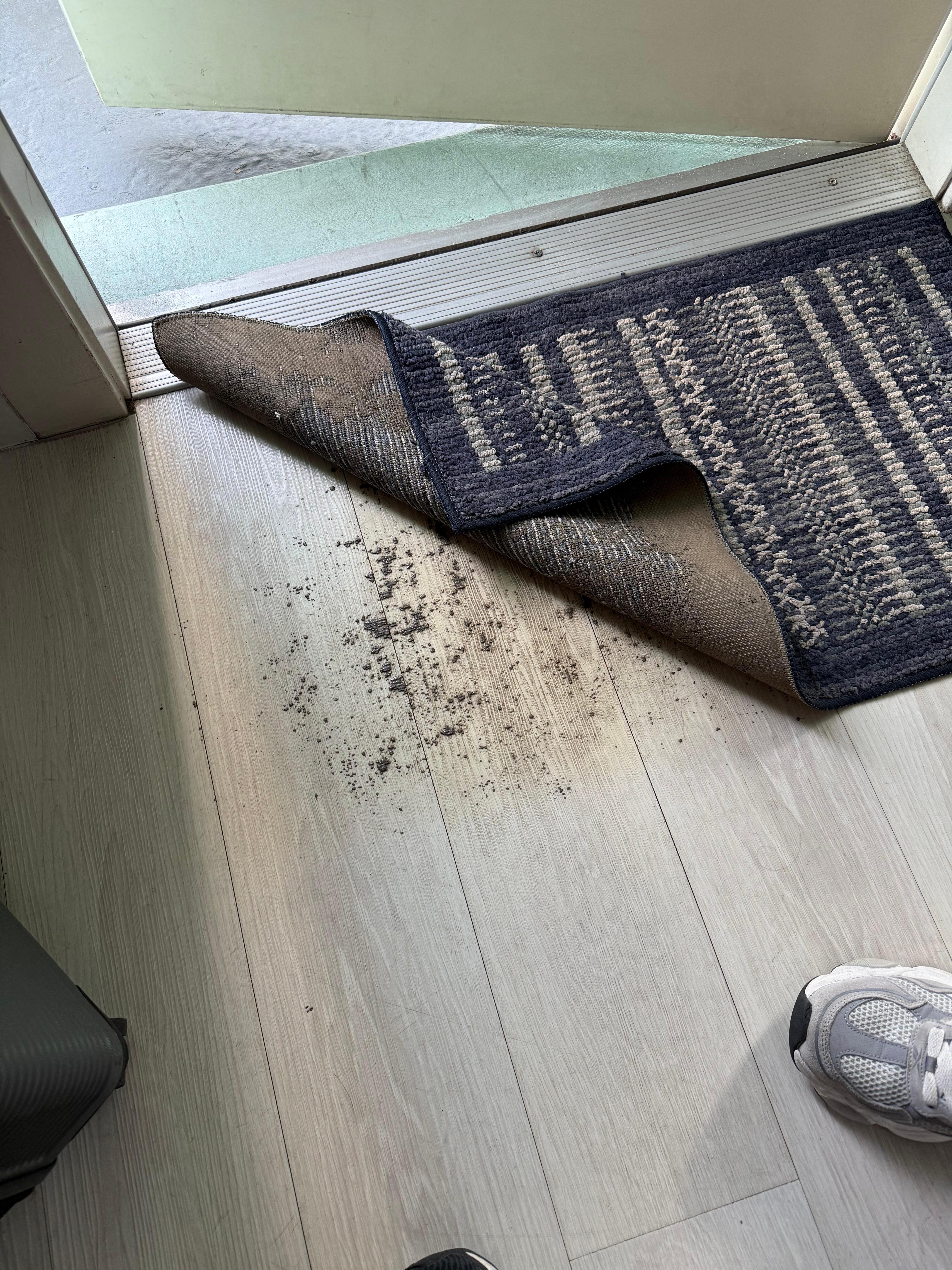 Filthy floor under the front door mat.