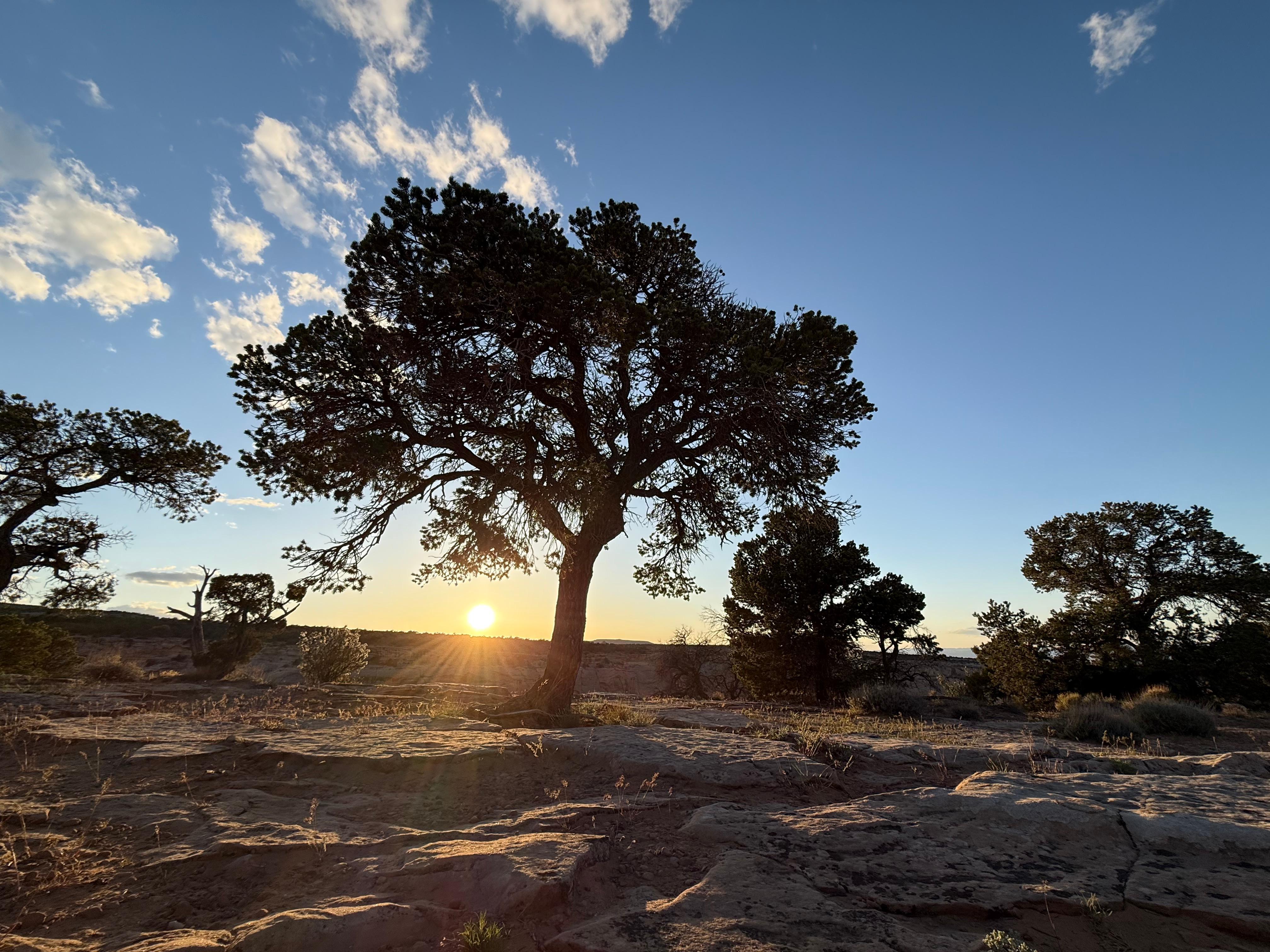 Colorado National Monument close by.